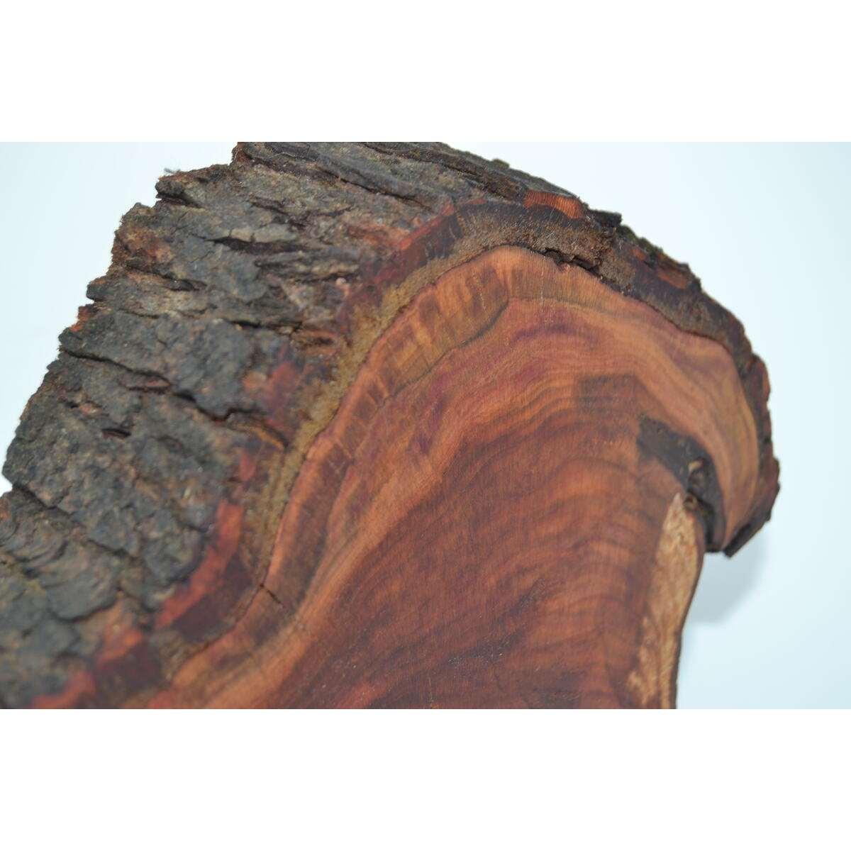 Holz Wanduhr Zwetschke