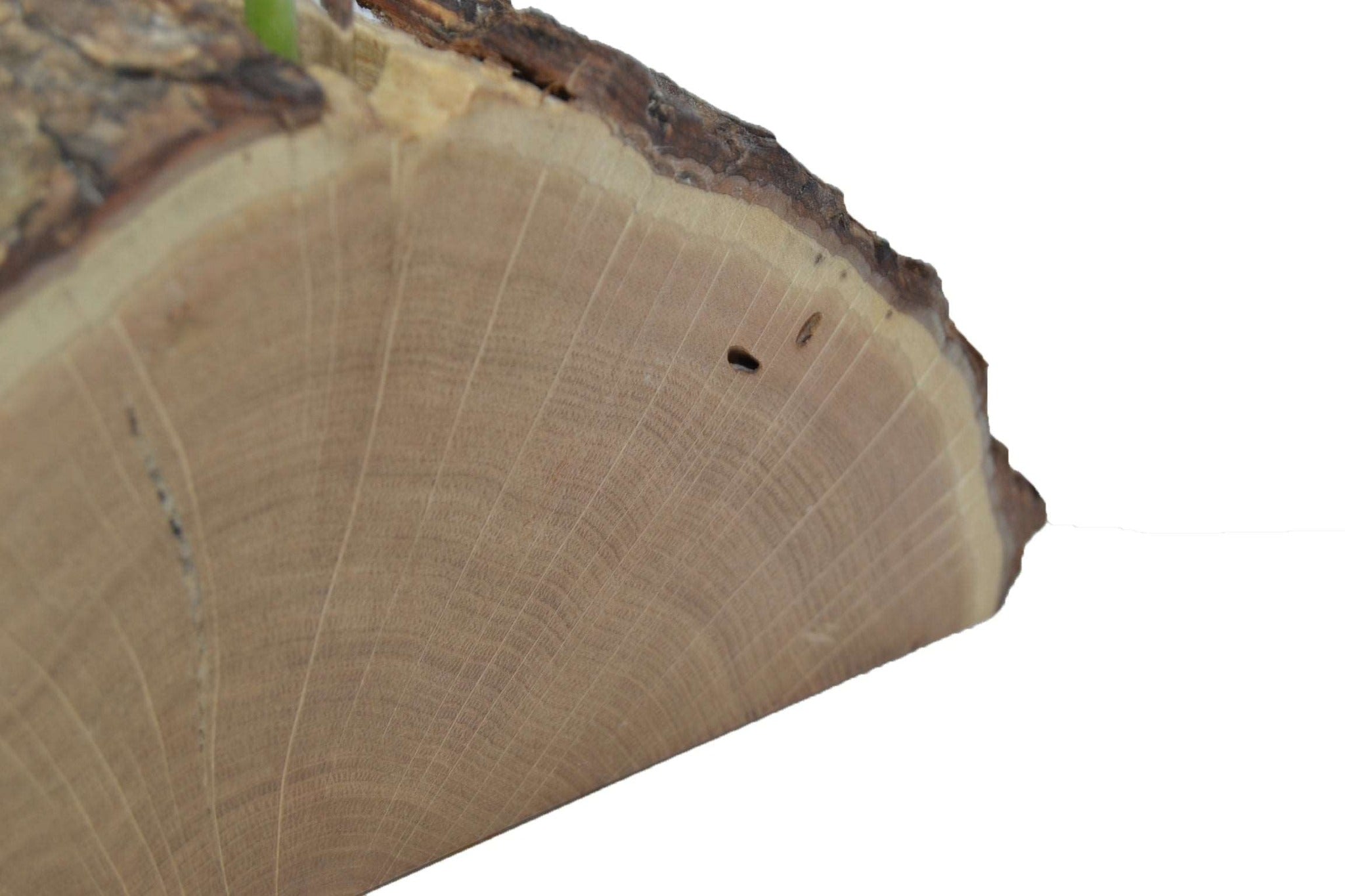 Holzvase 25x11 cm Edelkastanie Handarbeit
