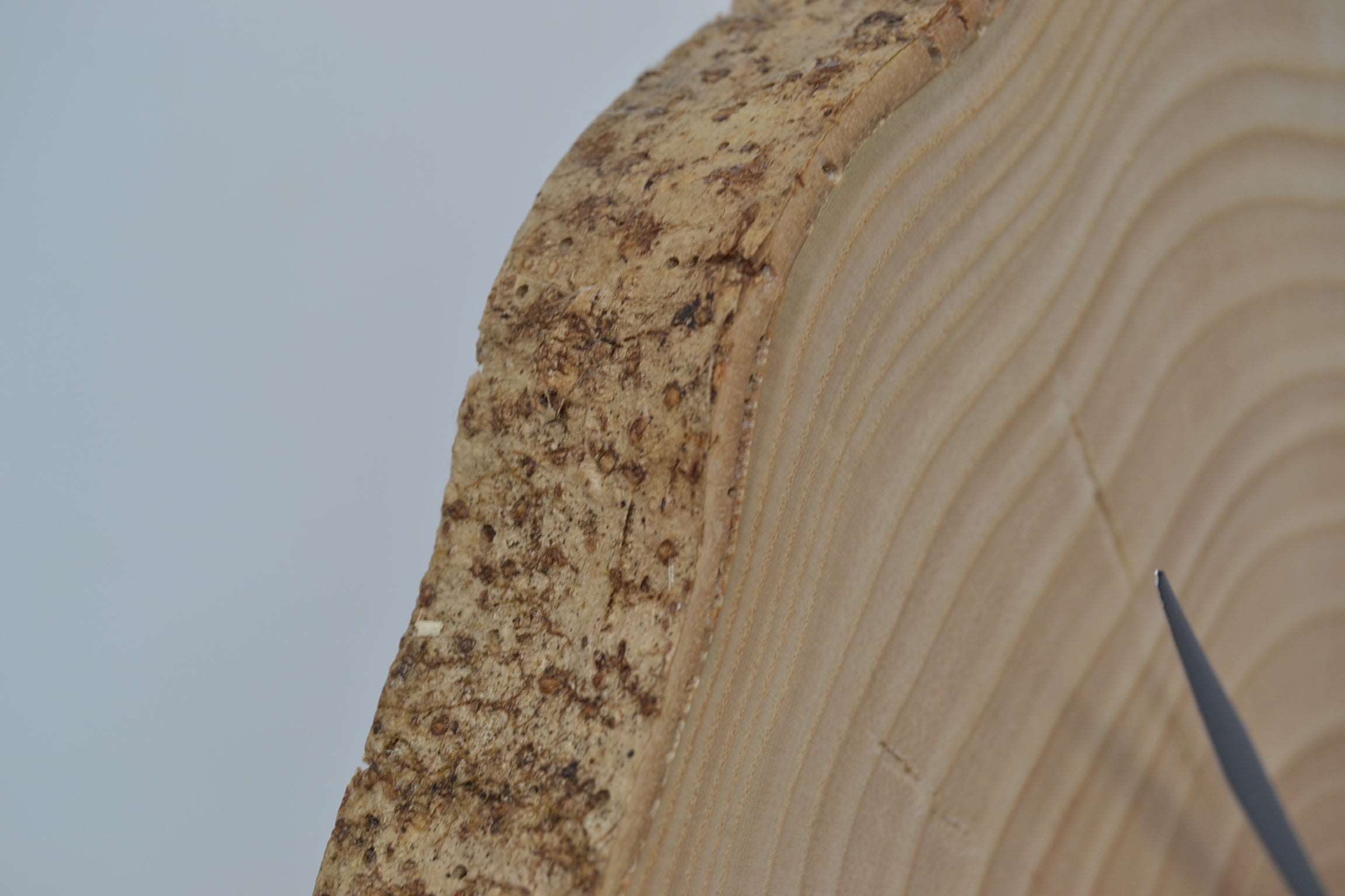 Holz Wanduhr 28x24cm aus Eschenholz Unikat Handarbeit