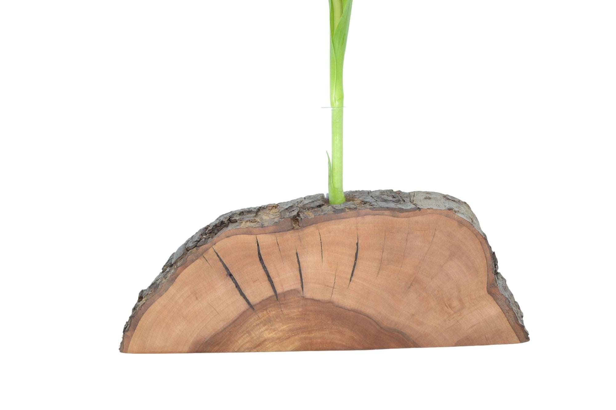 Holzvase aus Apfelholz