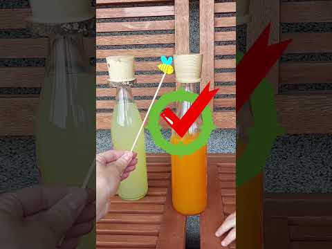 Holz Bierflaschenverschluss