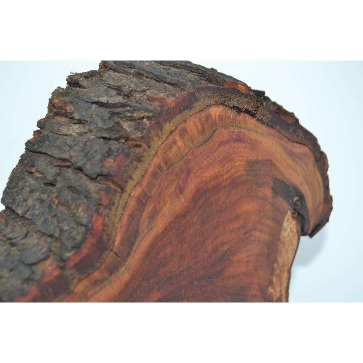 Holz Wanduhr aus Zwetschke Uhr 29x 25 cm Unikat Handarbeit