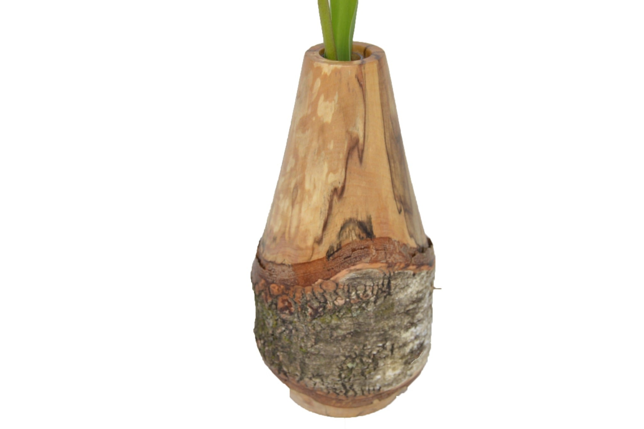 Holzvase aus gestocktem Birkenholz