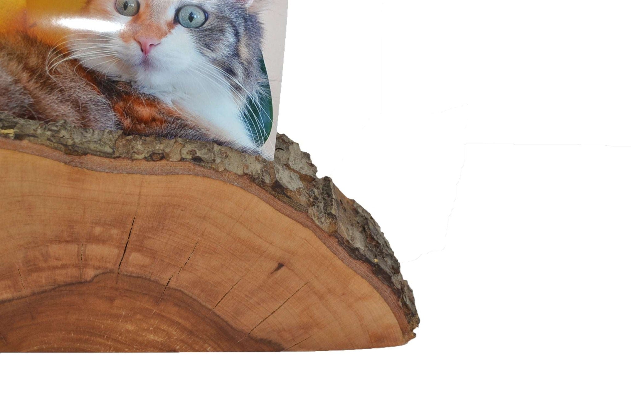 Fotohalter 28x9 cm Apfel Handarbeit