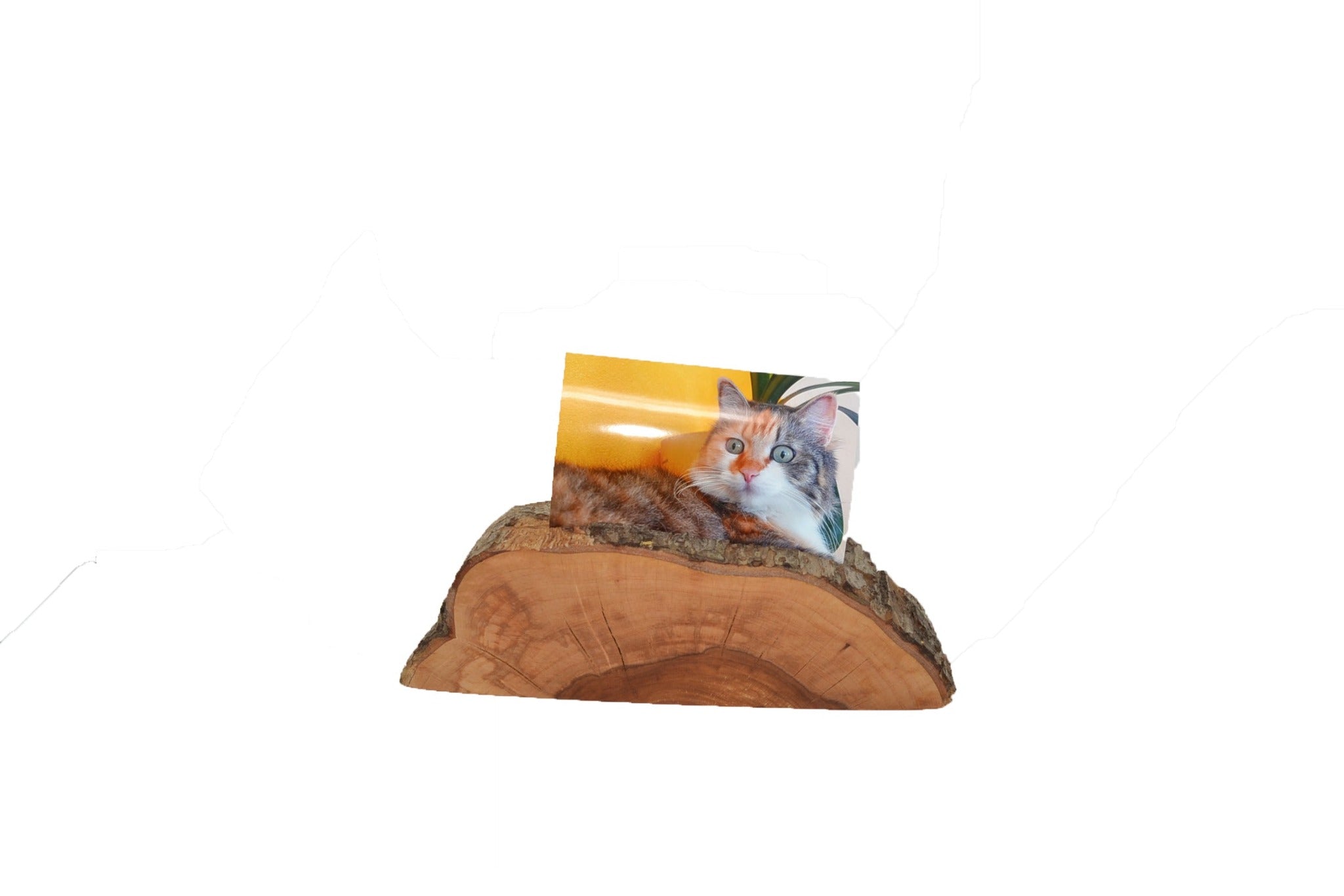 Handgefertigter Holz Fotohalter aus Apfelholz