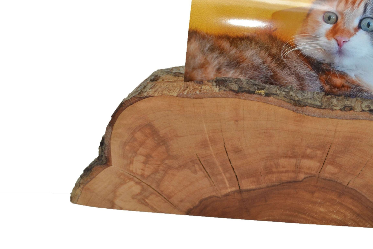 Handgefertigter Holz Fotohalter aus Apfelholz