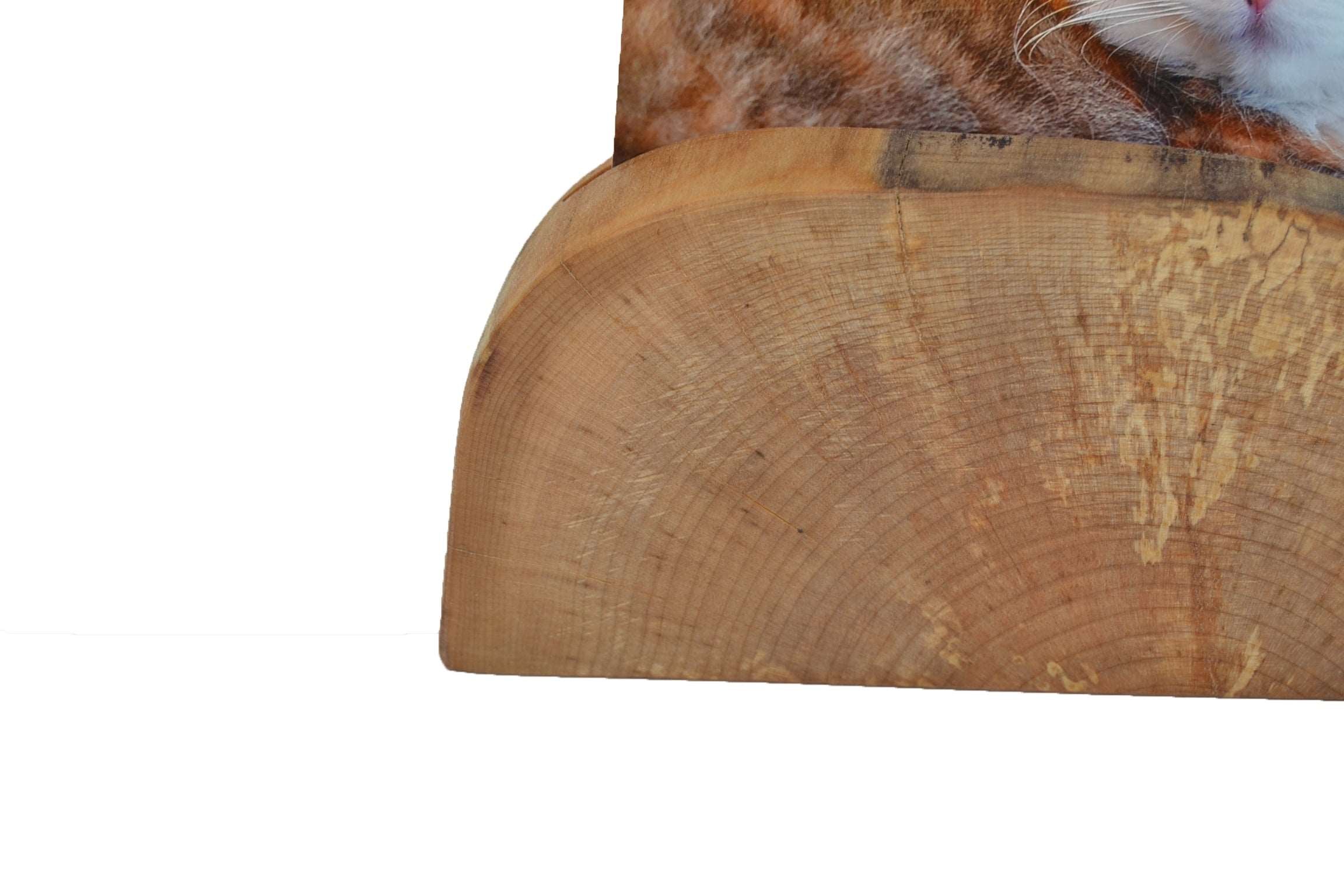 Handgefertigter Holz Fotohalter aus Ahornholz
