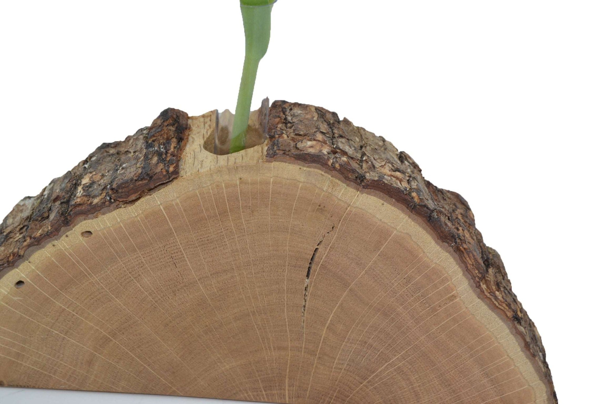 Holzvase 25x11 cm Edelkastanie Handarbeit