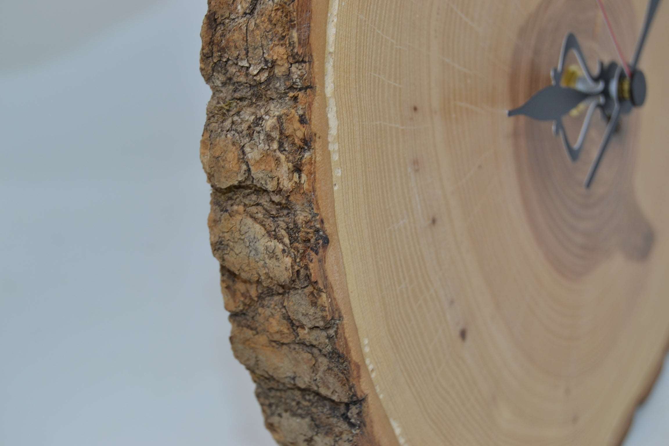 Holz Wanduhr 25x23cm aus Eschenholz Unikat Handarbeit