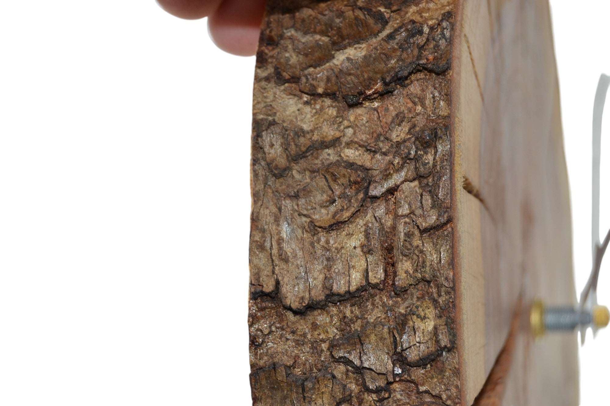 Holz Wanduhr Zwetschke