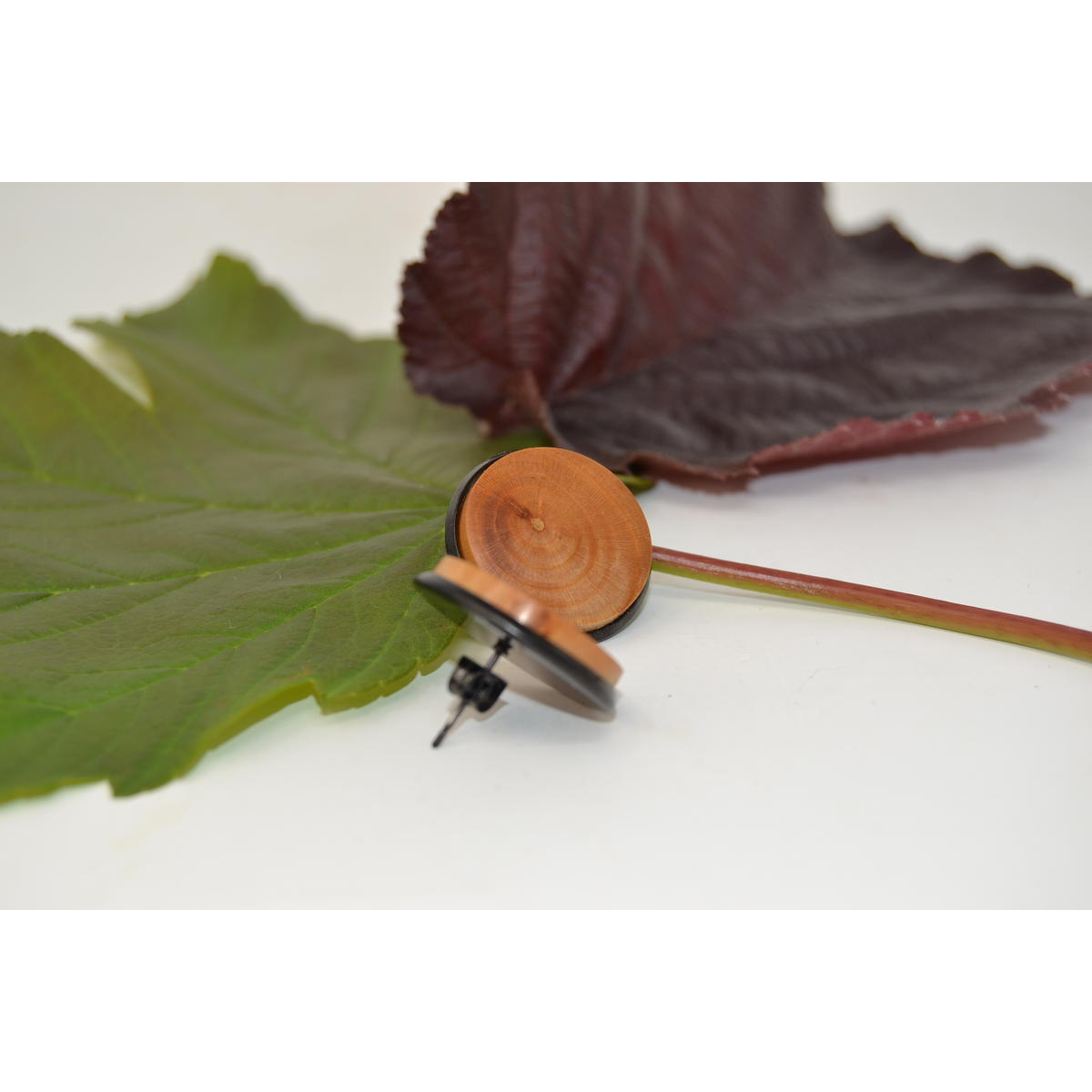 Holz Ohrstecker aus Haselnuss