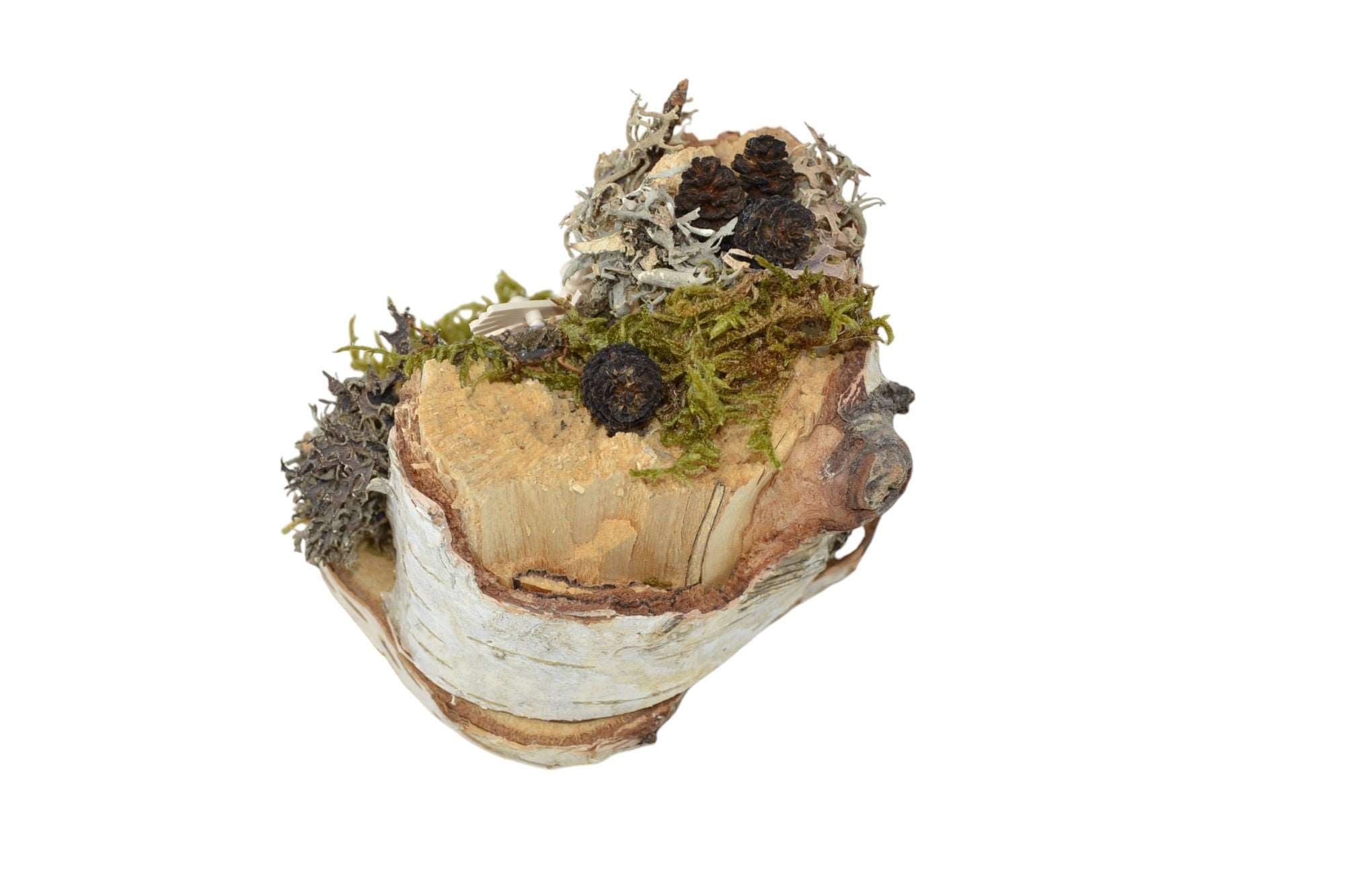 Weihnachtskrippe aus Birkenholz